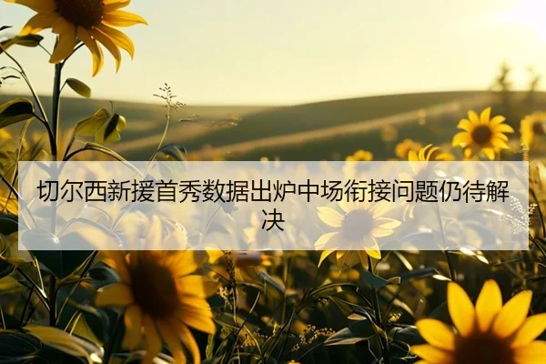 切尔西新援首秀数据出炉中场衔接问题仍待解决